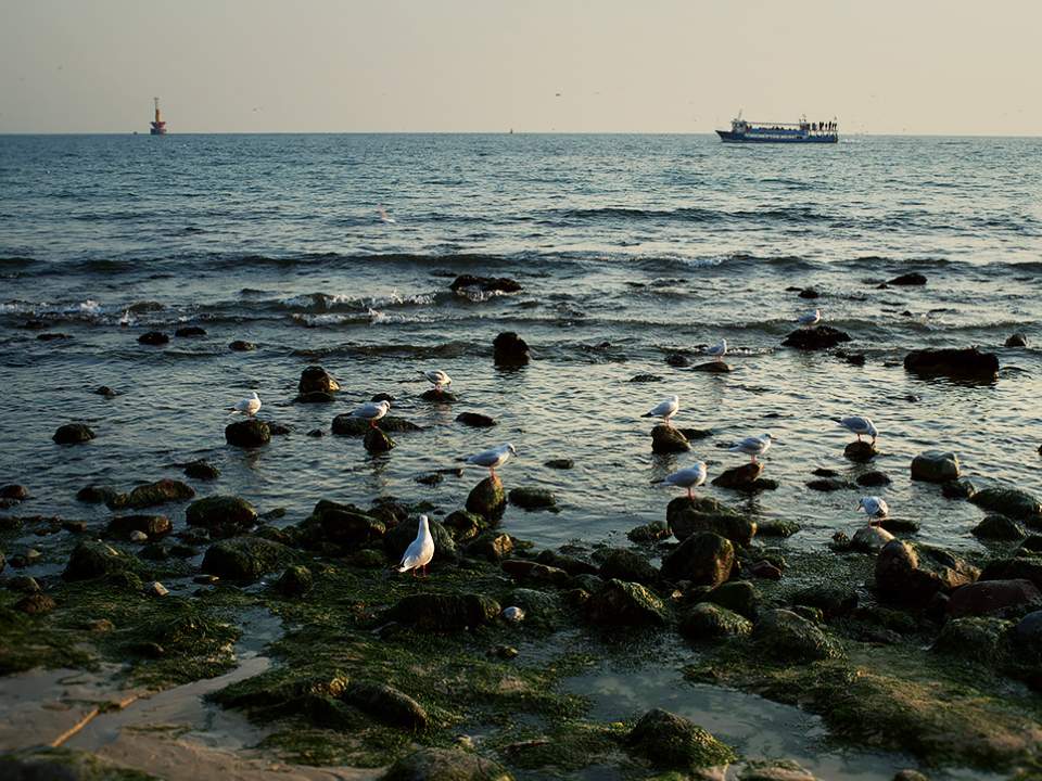해운대 바닷가의 모습