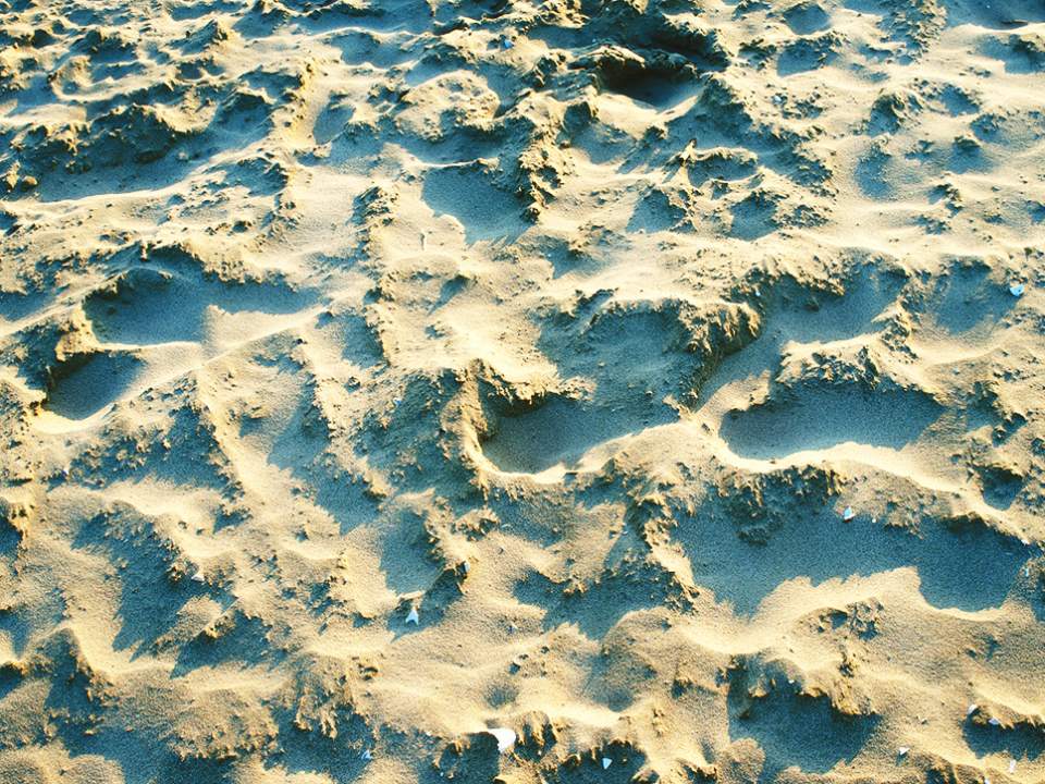 백사장의 모래