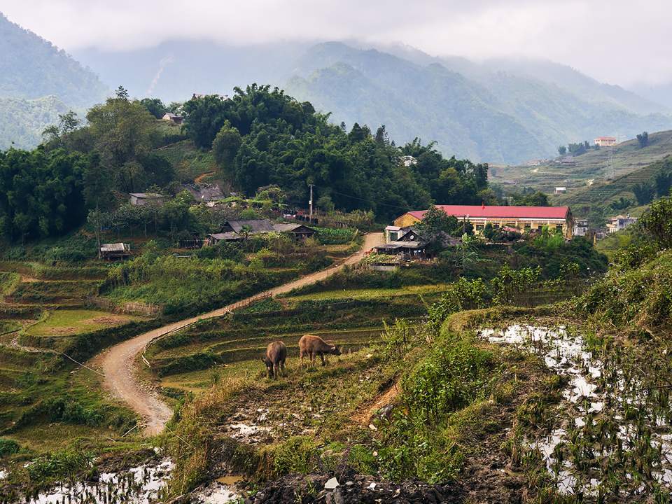 한적한 마을의 모습