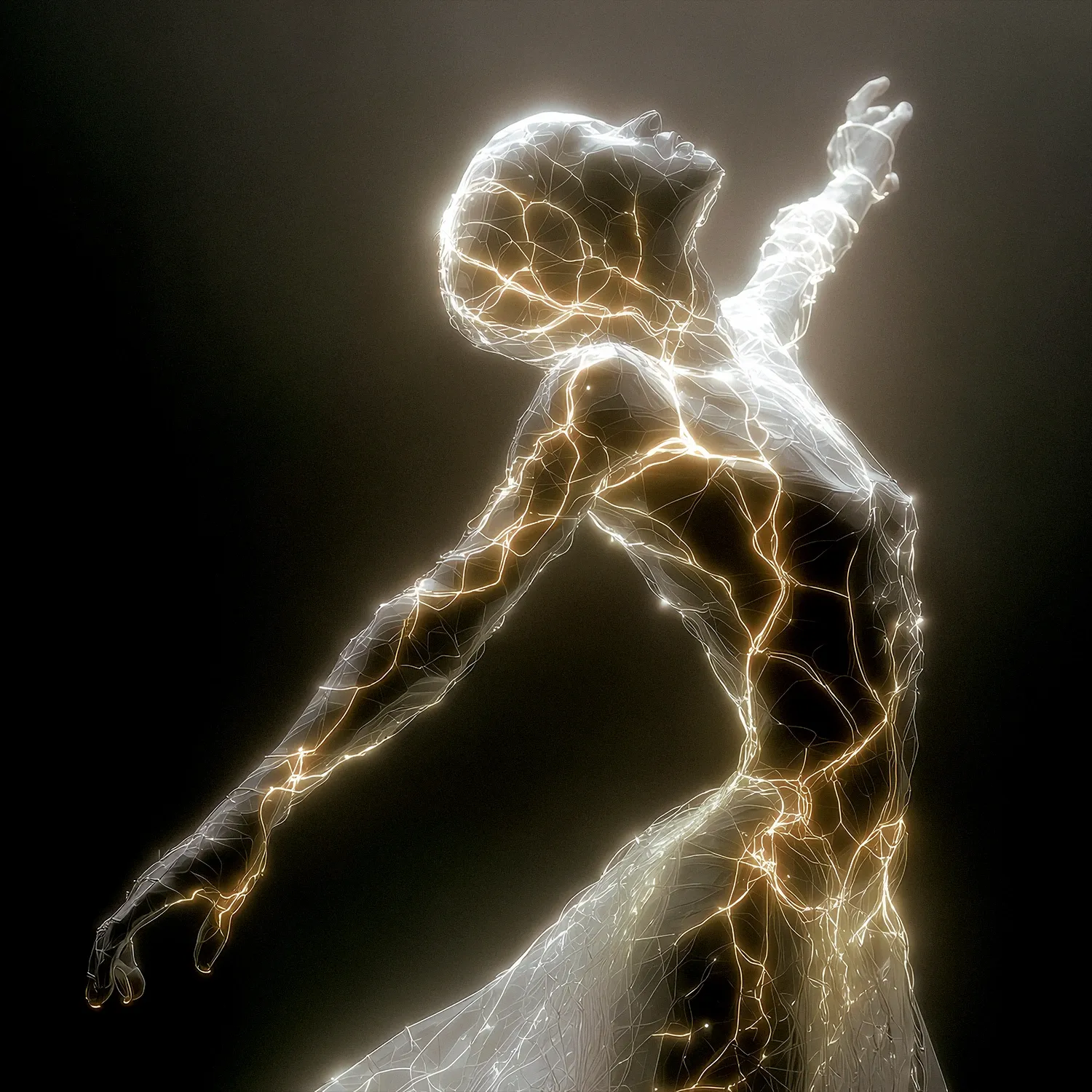 wire-person-004-006.webp