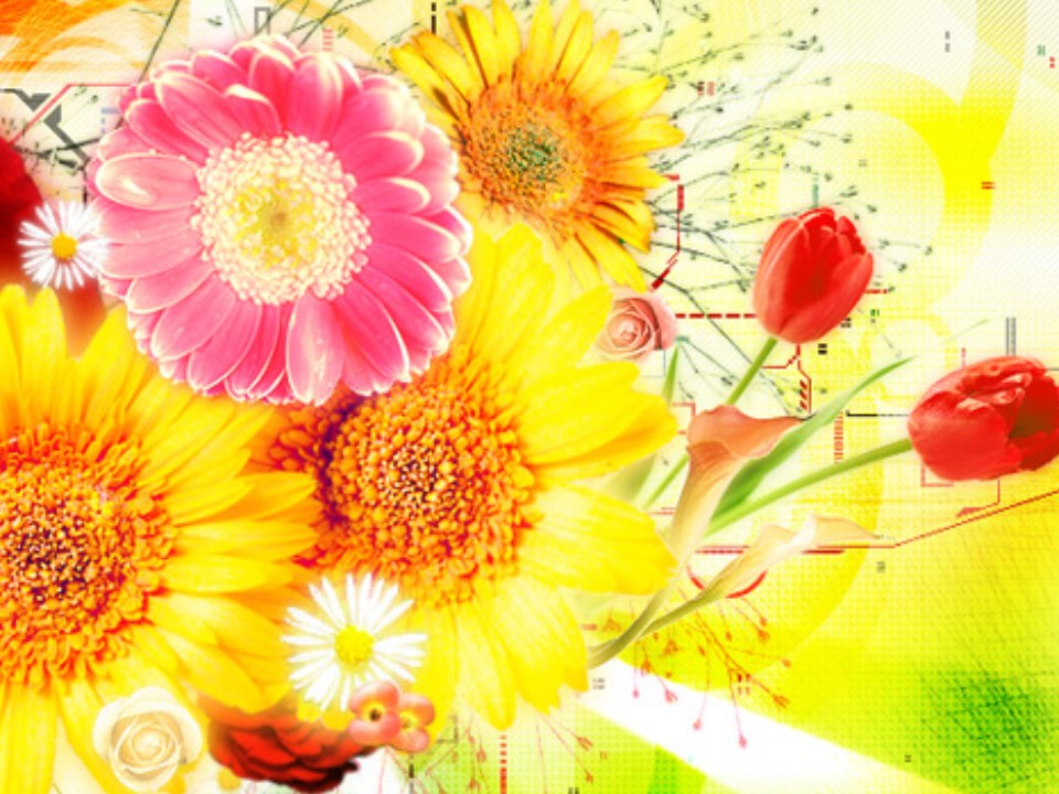 Flower story