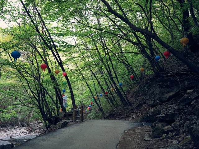절로 가는 길