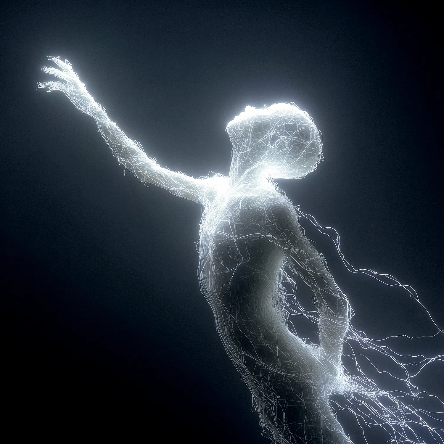 wire-person-004-005.webp