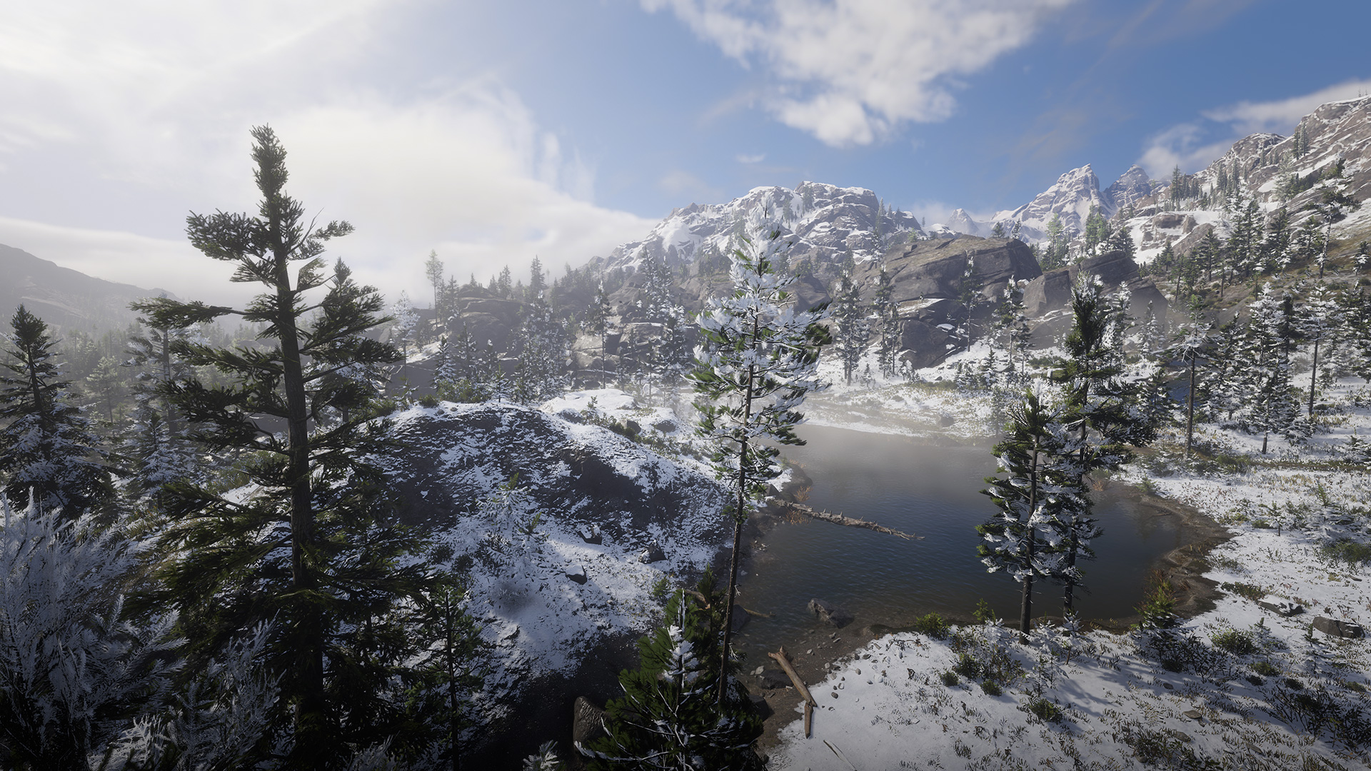 rdr2-004.jpg