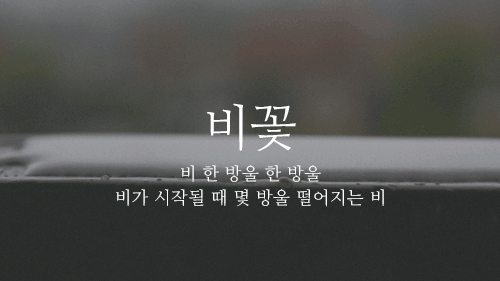 160b515362747d747.gif