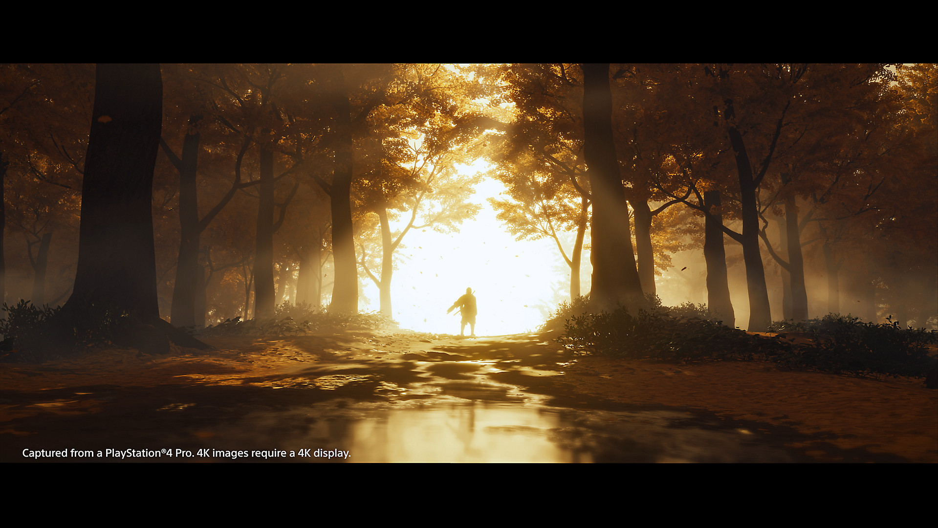 ghost-of-tsushima-new-gallery-img-5-ps4-us-12dec19.jpeg