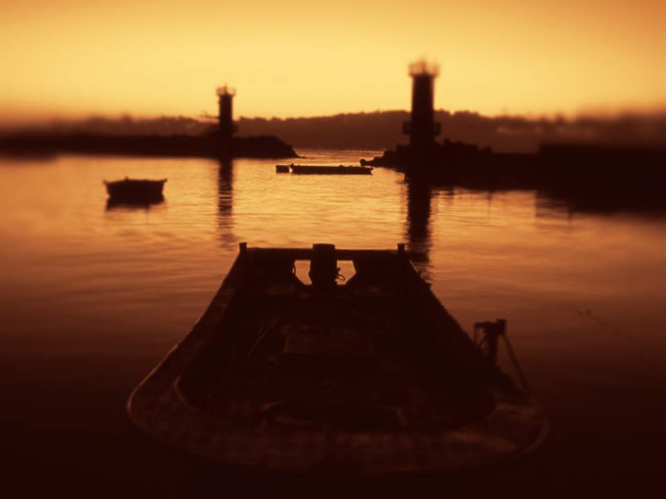 배