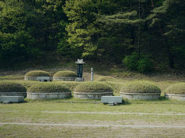 지나다 본 무덤