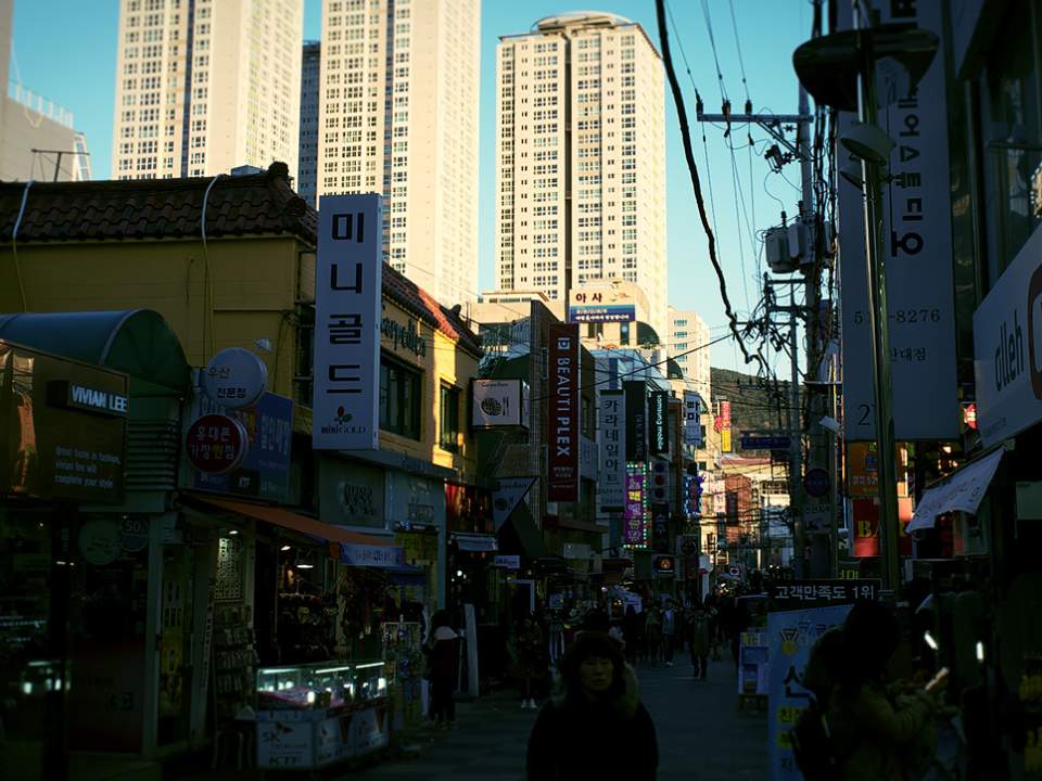 집 근처의 거리