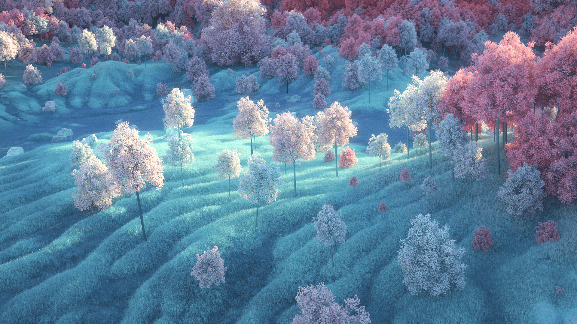 64c10a107509857-5fb2853299150.png