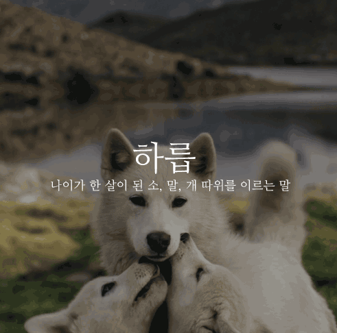 160b514b4df47d747.gif