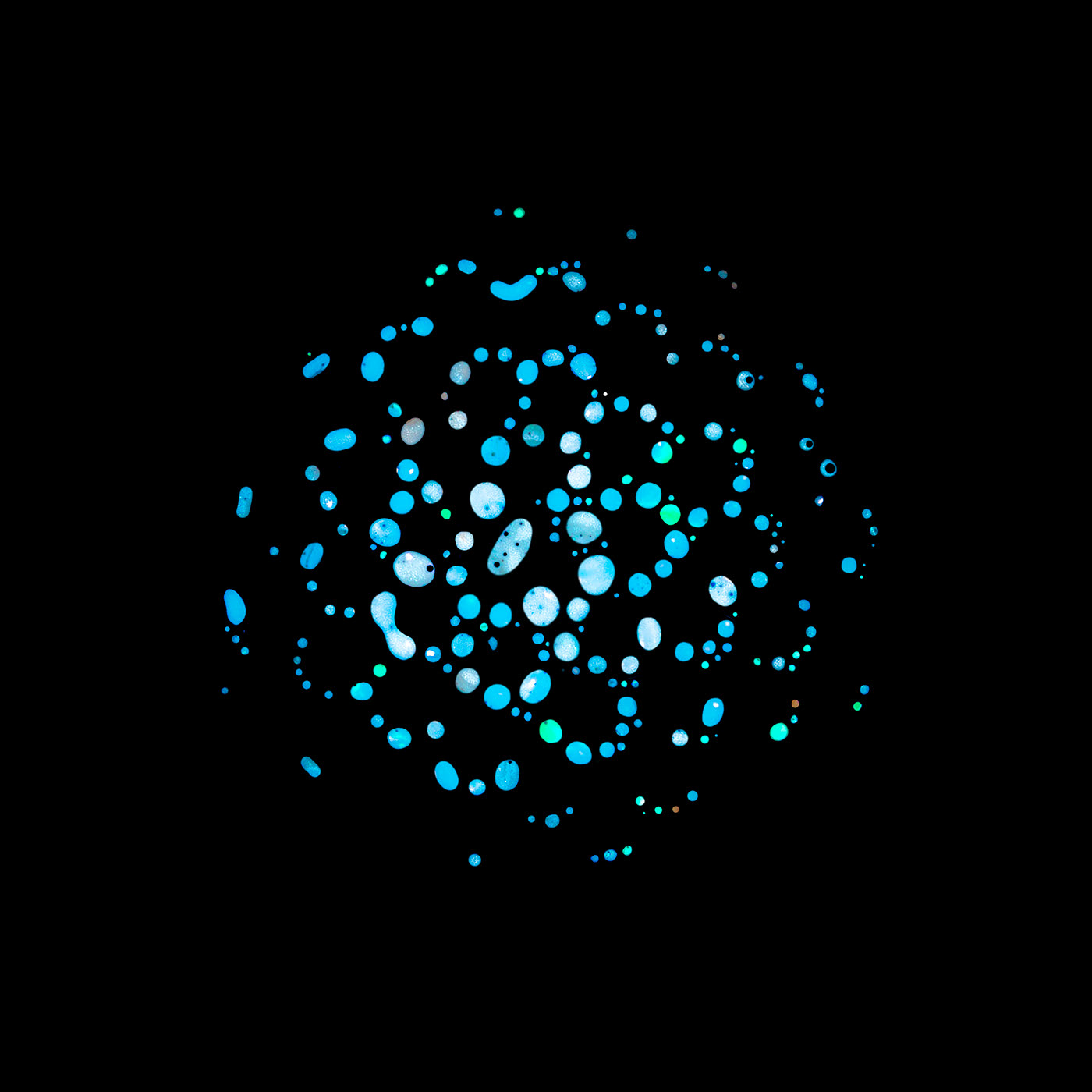 f20568132498849-61adc2ebd9efc.jpg
