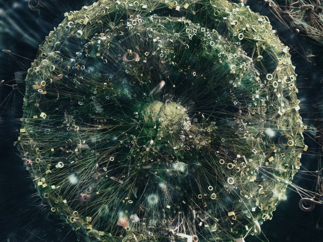 민들레 씨 (Dandelion Seeds)