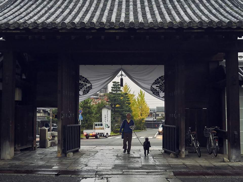 커다란 신사의 입/출구