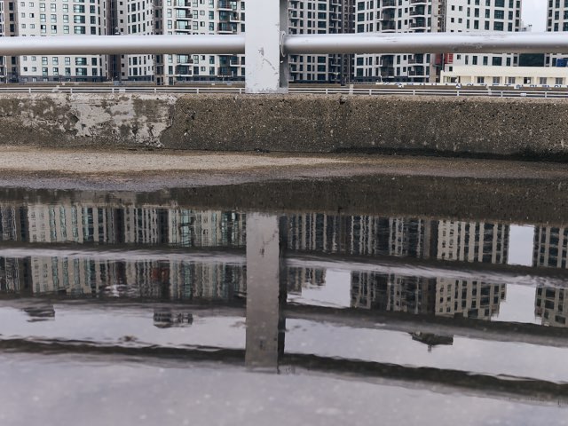 물에 비친 모습
