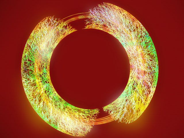 Branch tube