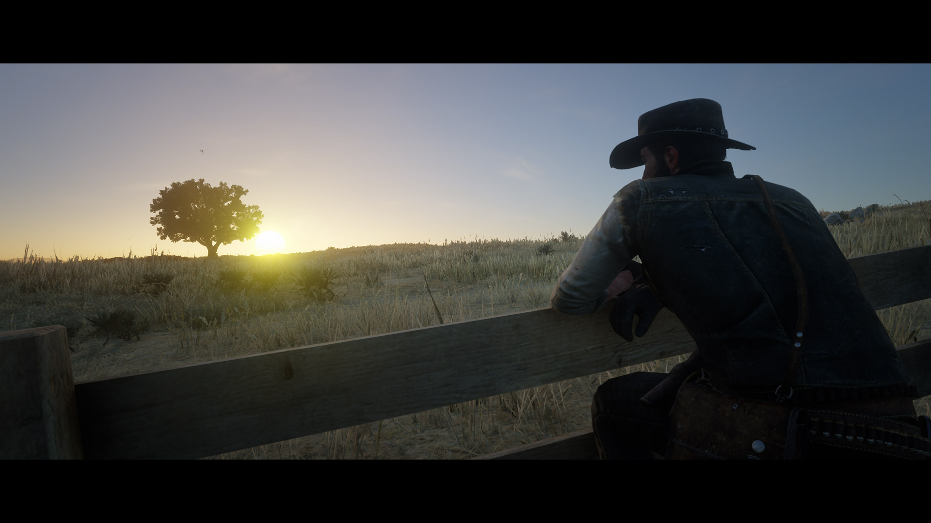 rdr-004.jpg