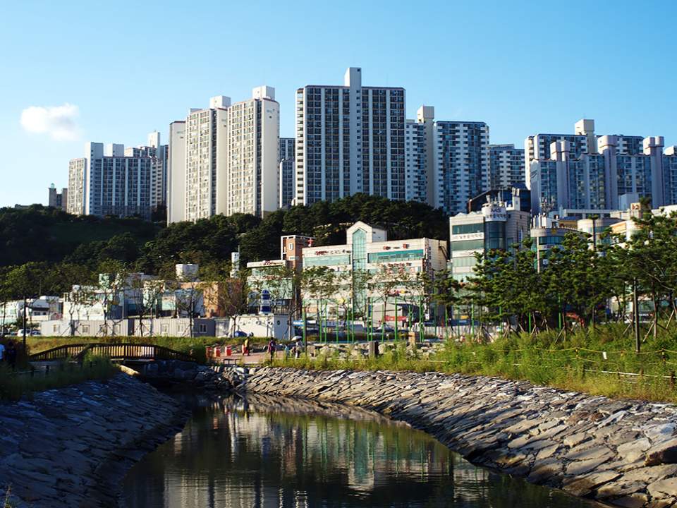 다대포의 아파트
