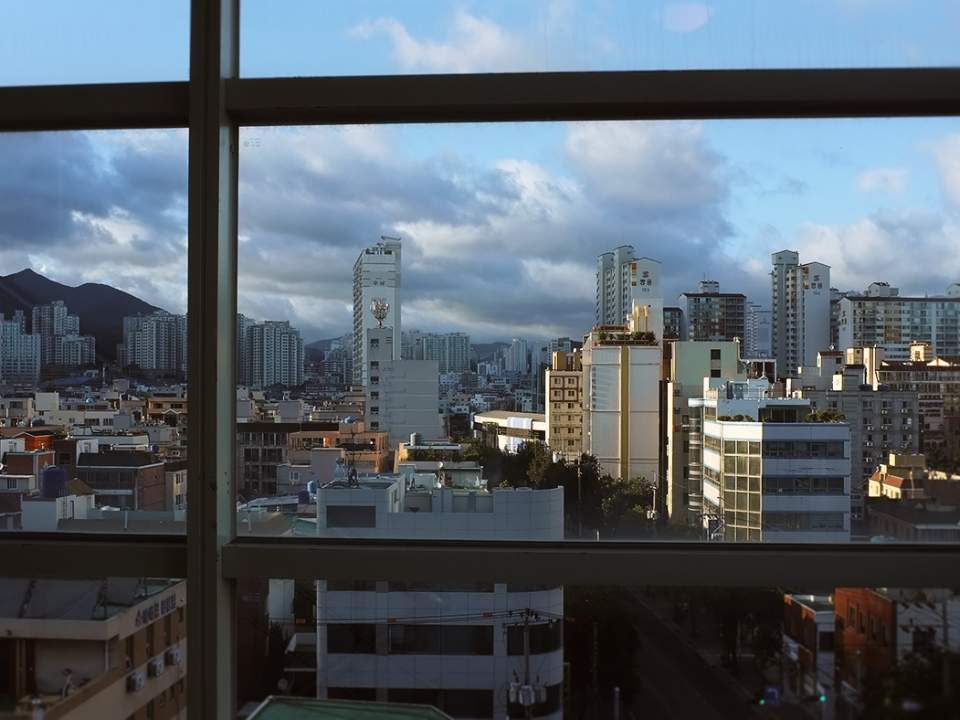 창문 너머로 바라보기