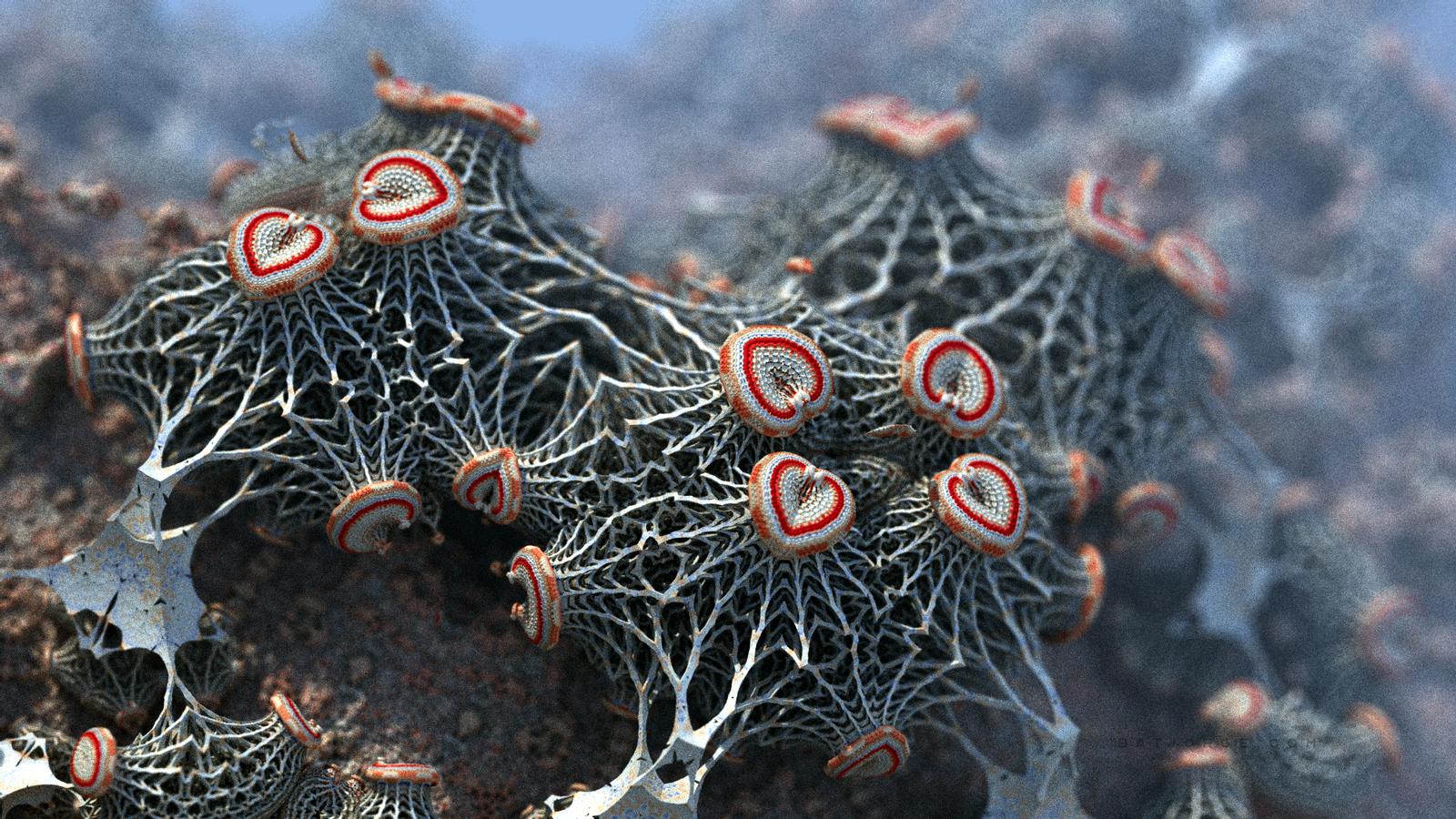mycelium_love_by_batjorge_ddvnlao-fullview.jpg