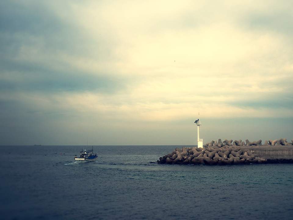 바다의 일부분