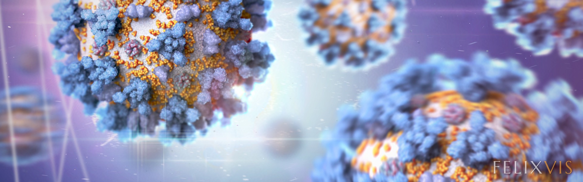 Coronavirus_felixvis_2020_1920xxx600_Bannerx2_v1x0.jpg