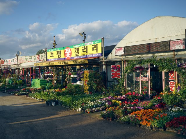 오후에 도로를 걷다가..