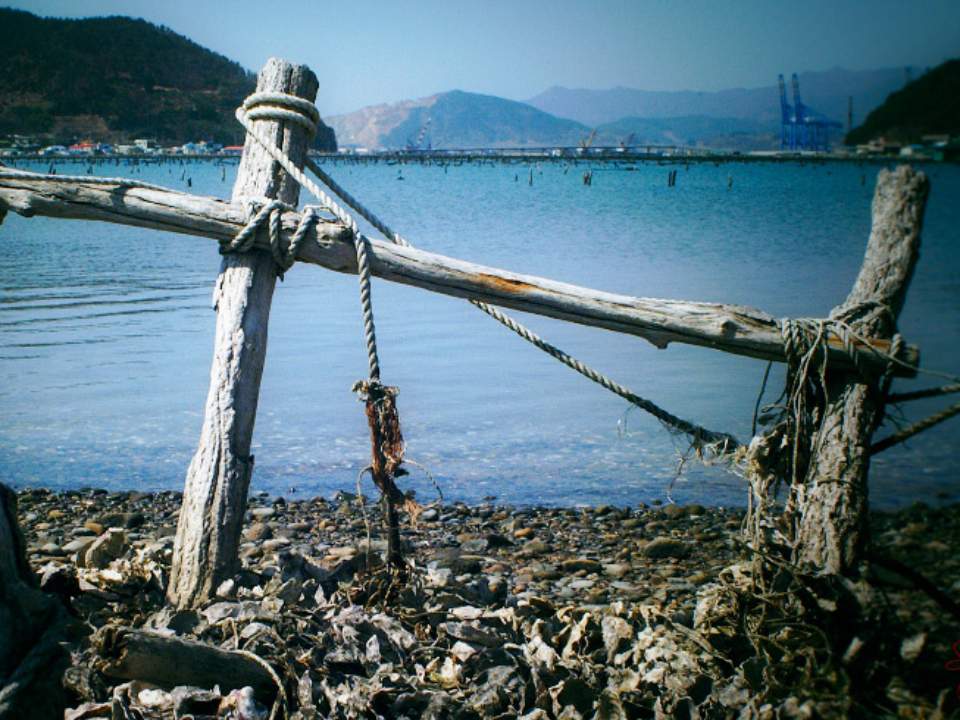 바닷가 근처