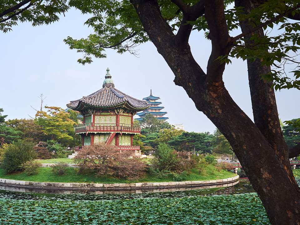 경복궁 내부의 모습
