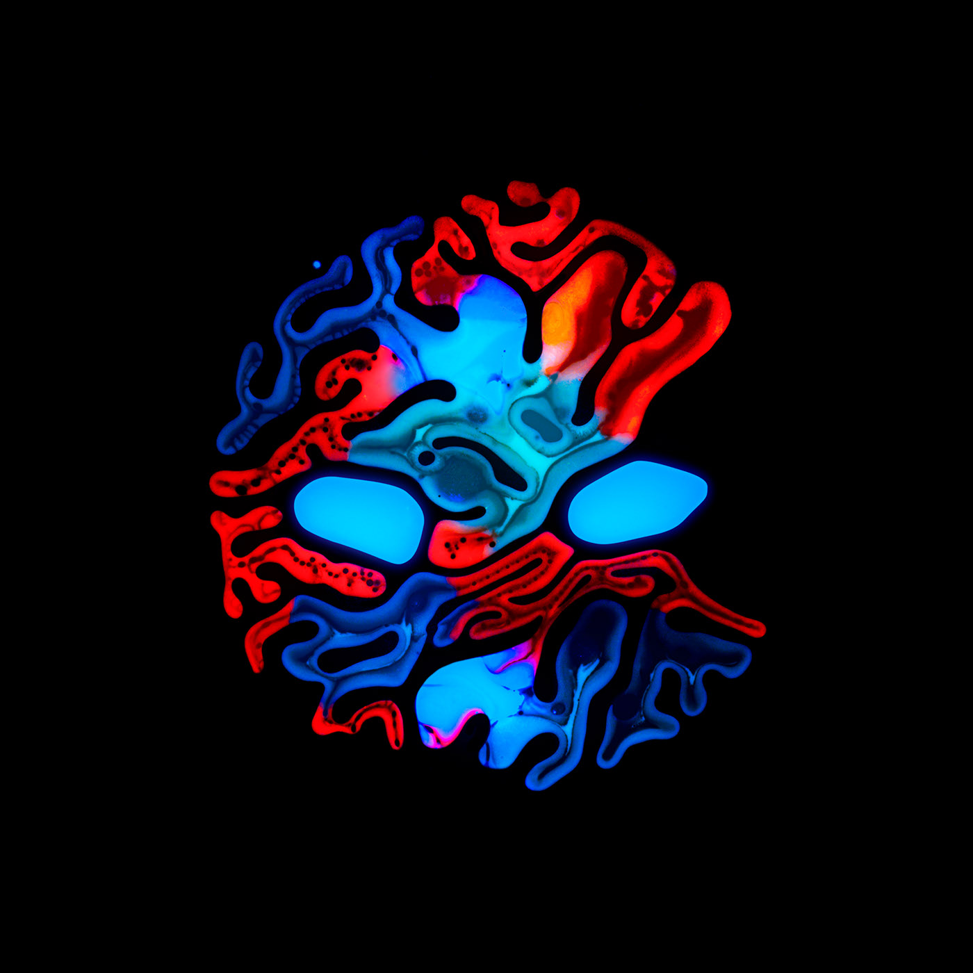 a91c1f132498849-61adc2e8792fa.jpg