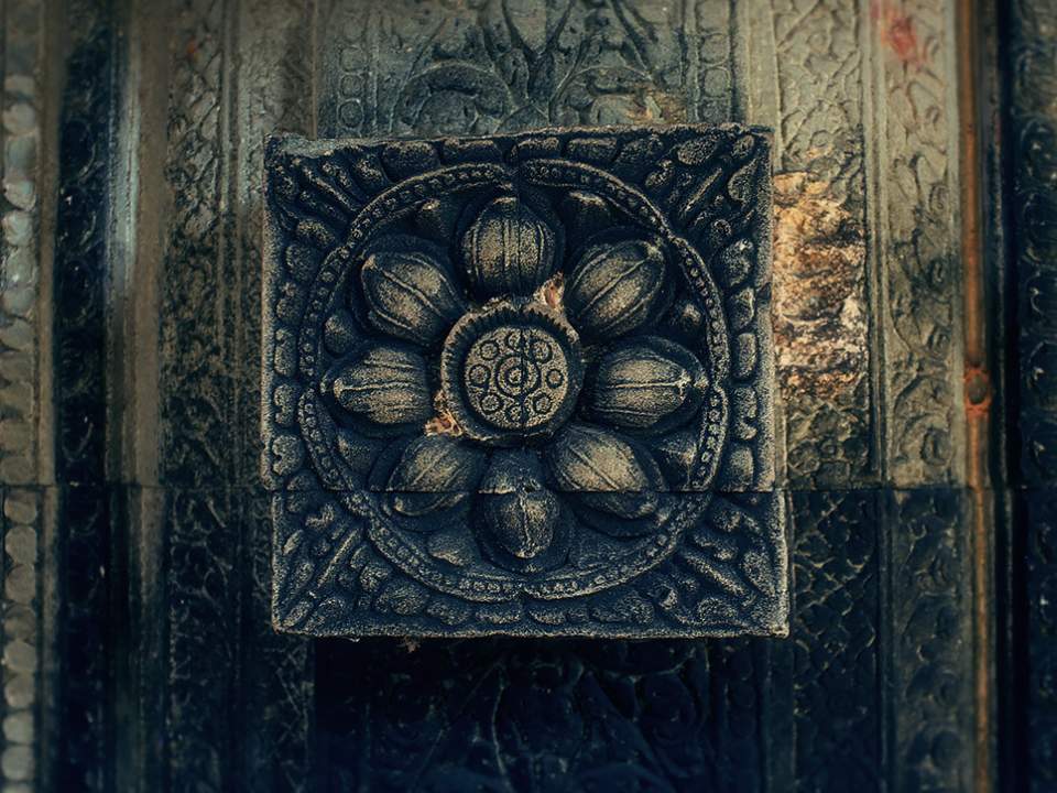 돌에서 본 연꽃의 형태