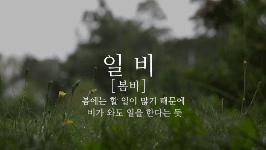 160b514e01747d747.gif