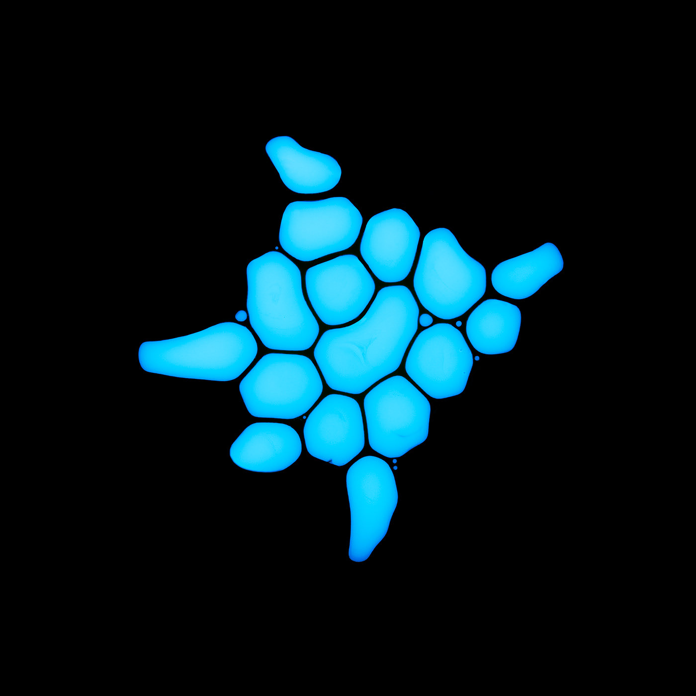 1a0e58132498849-61adc2f5852fe.jpg