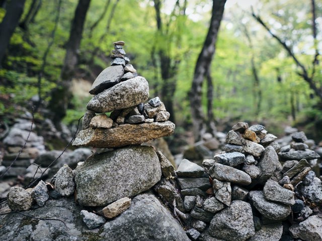 숲속에서 보는 작은 돌들의 모습