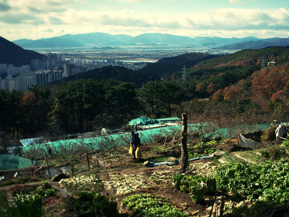 금정산을 내려오면서...