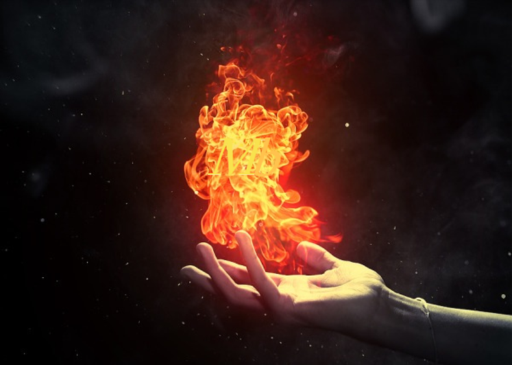fire-flower.png