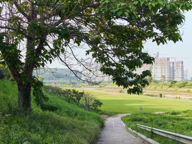 넓은 한강공원