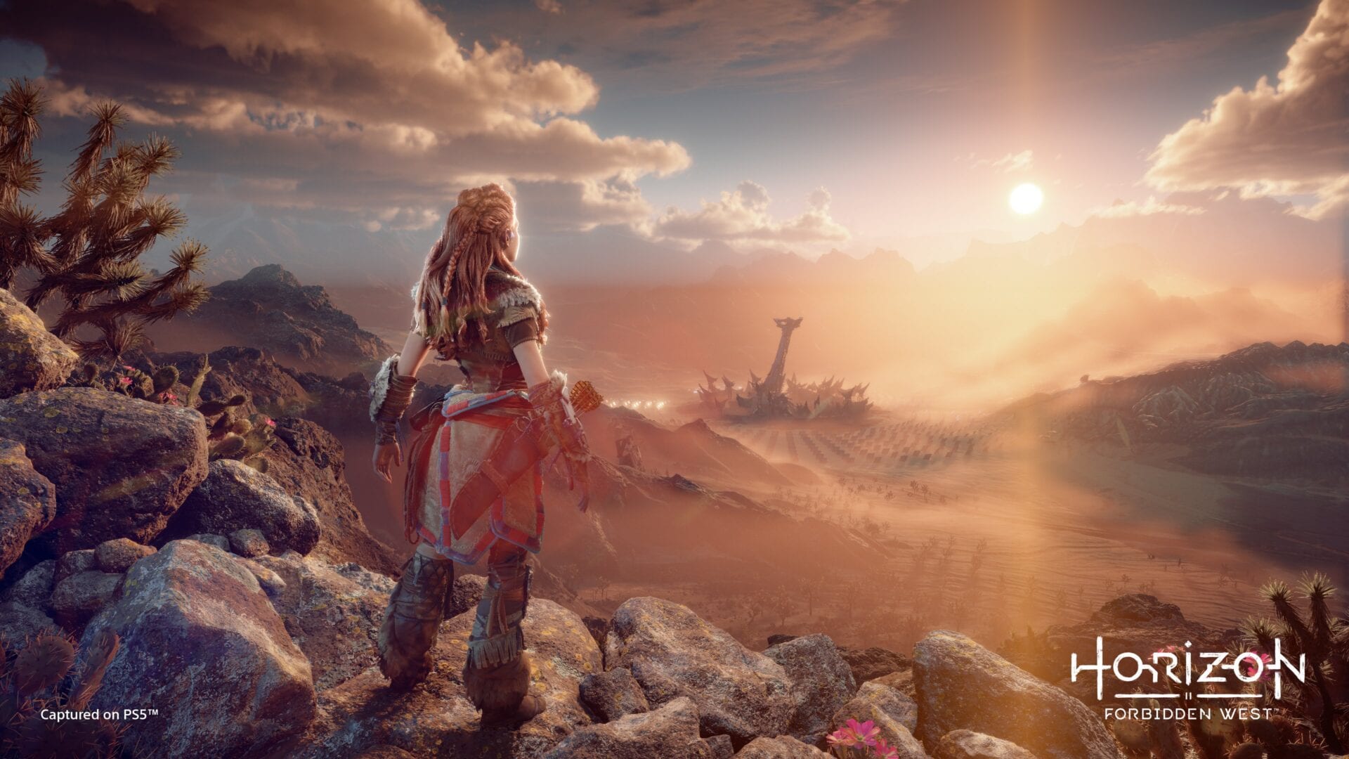 horizon-010-03.jpg