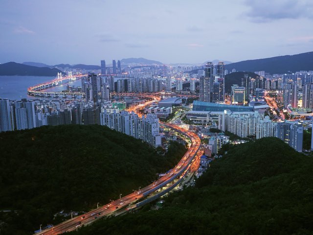 장산에서 본 부산의 한 모습