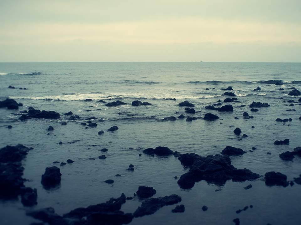 검은돌의 바다