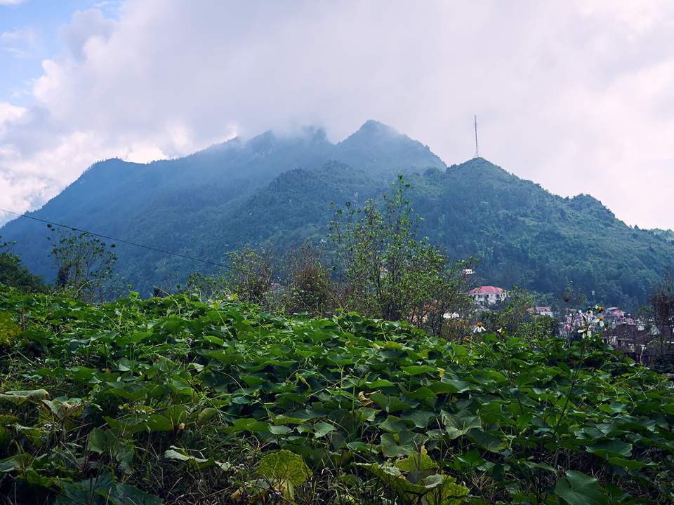 산을 올려다보기