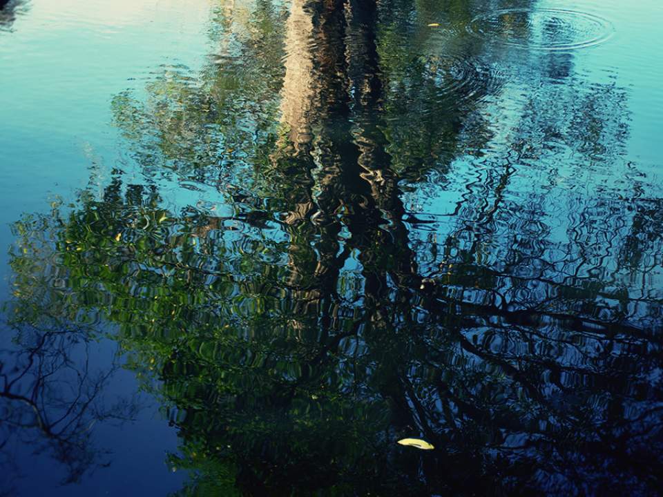 하나뿐인 길에서