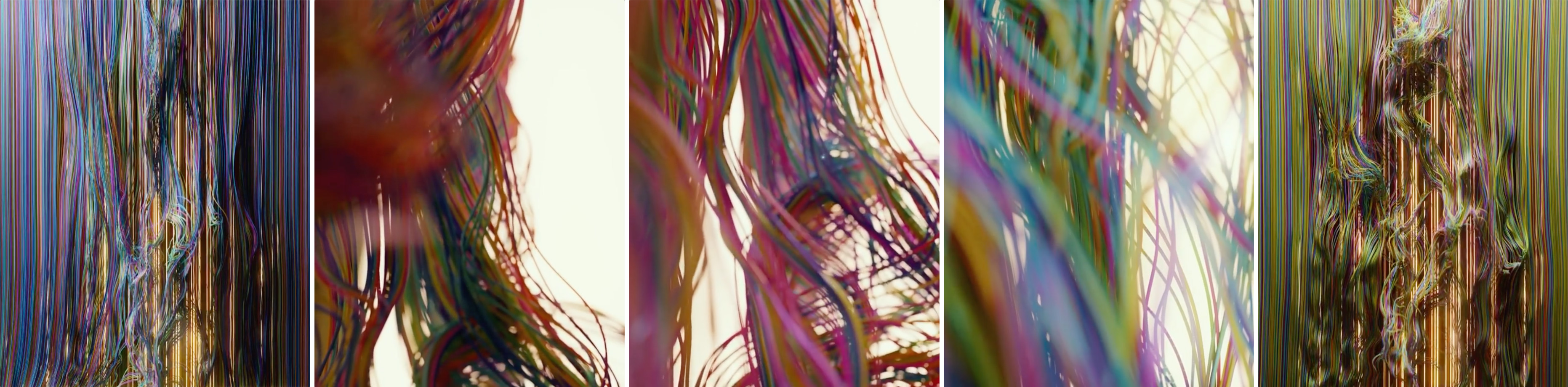 color-hairs.jpg