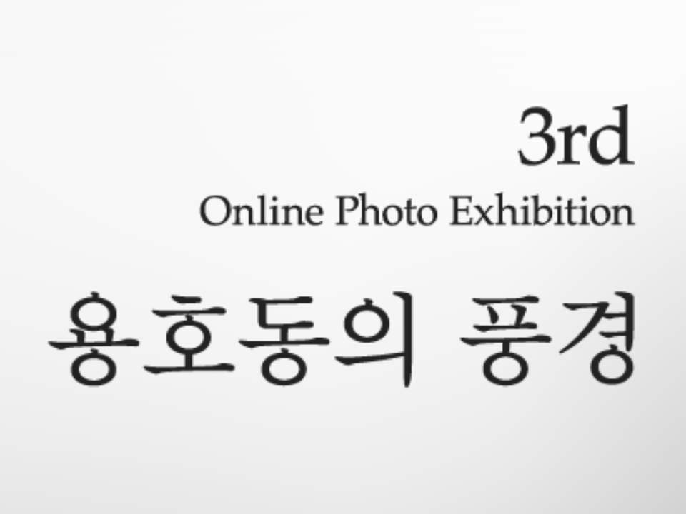 3rd online ptoho exhibition "용호동의 풍경"