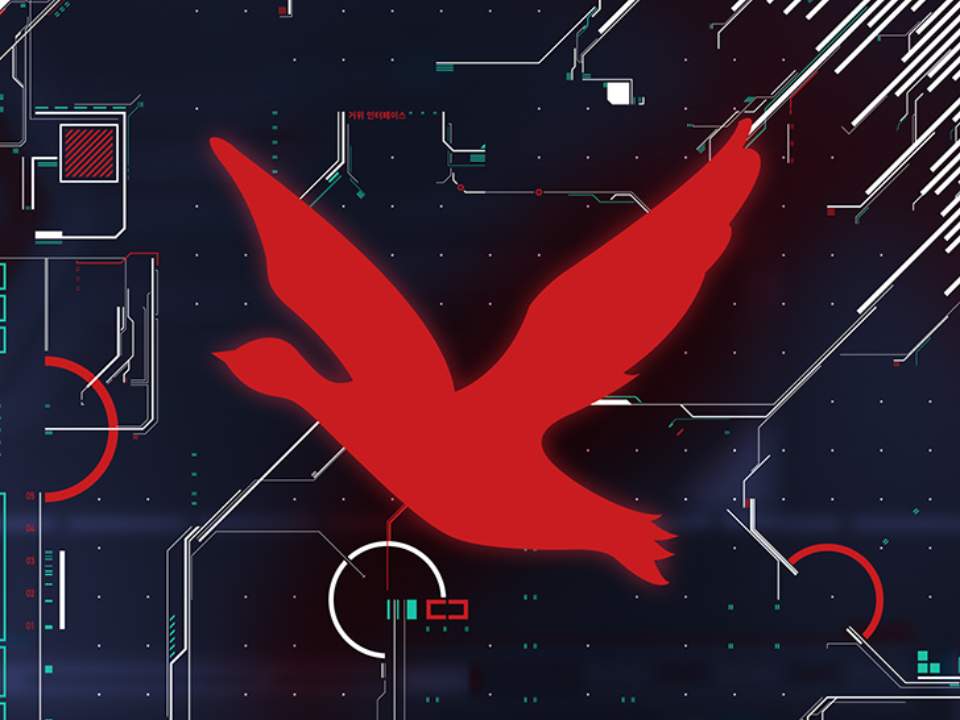 Project shape: Redgoose <color version>