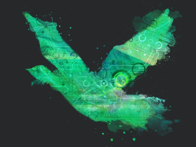 Projects Goose