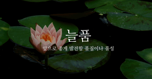 160b5155a3047d747.gif