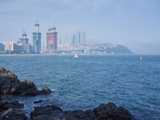 동백섬이 보이는곳