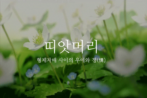 160b514d70847d747.gif