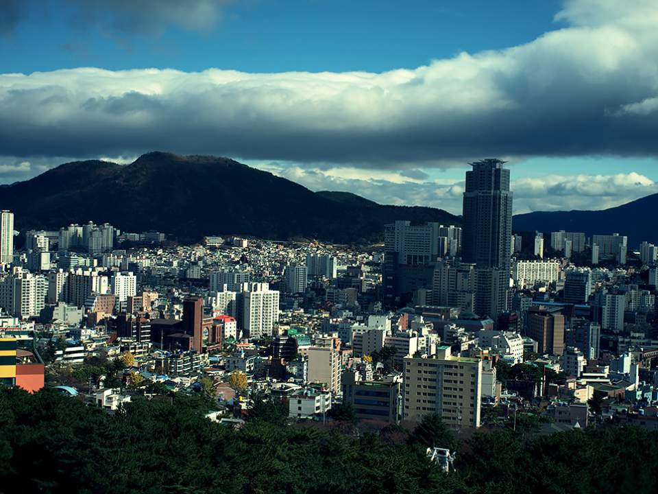 한 모습